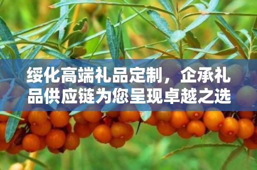 绥化高端礼品定制，企承礼品供应链为您呈现卓越之选